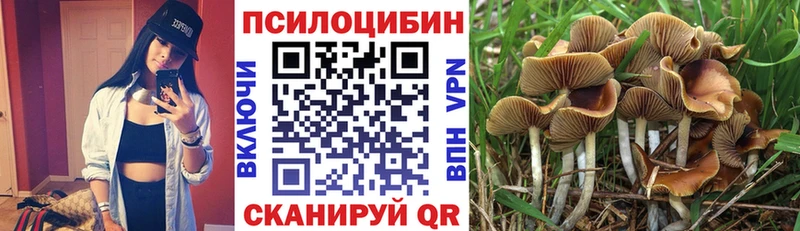 Псилоцибиновые грибы MAGIC MUSHROOMS  Кировск 