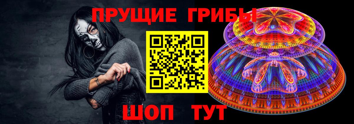 Псилоцибиновые грибы мицелий Кировск