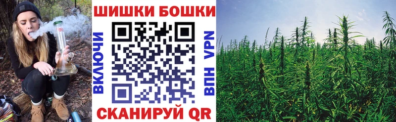 мега зеркало  Кировск  Бошки Шишки ГИДРОПОН 